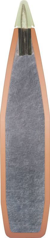 Premier Long Range, 300 Win Mag, 190 Grain, Speer Impact, 2885 fps